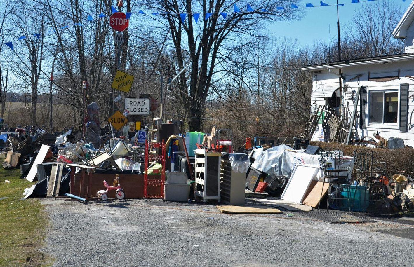people sitting on chair near trees during daytime